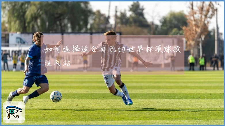 如何选择适合自己的世界杯滚球投注网站