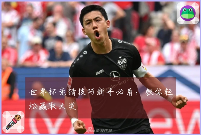 世界杯竞猜技巧新手必看，教你轻松赢取大奖