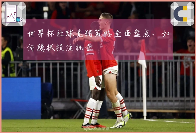 世界杯让球竞猜策略全面盘点，如何稳抓投注机会